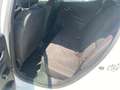 Renault Clio Clio 5p 1.5 dci Wave 75cv Blanc - thumbnail 12
