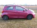 Kia Picanto PICANTO/MPI 1,0/ COOL/ MT/5D Violett - thumbnail 4