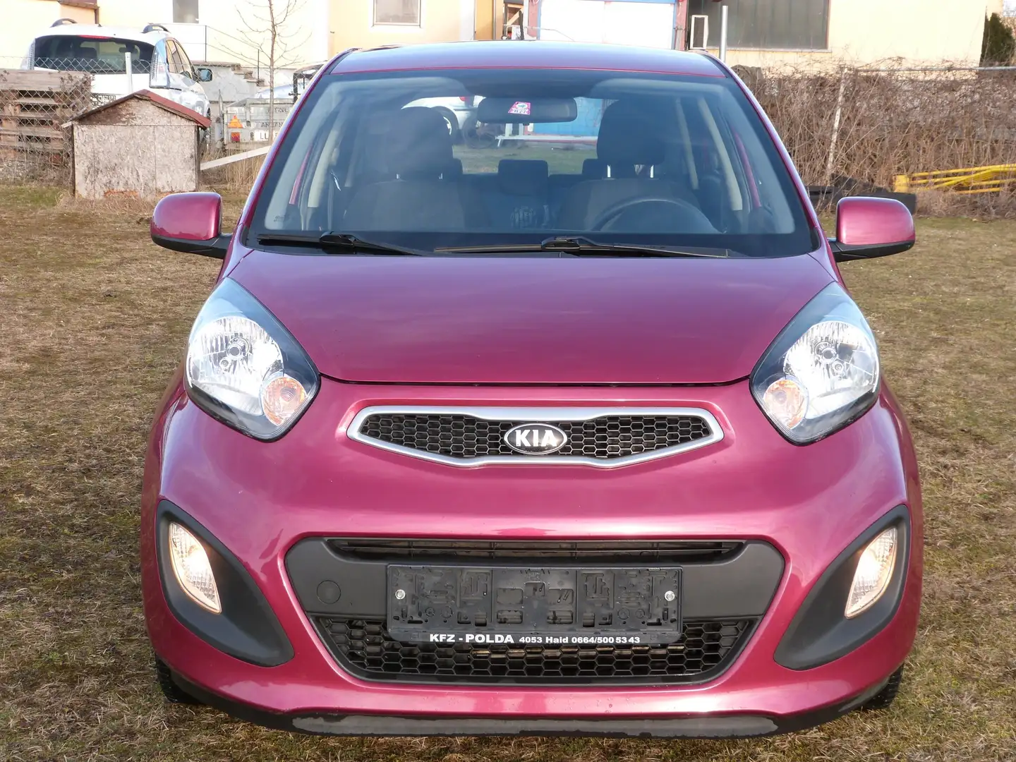 Kia Picanto PICANTO/MPI 1,0/ COOL/ MT/5D Violett - 2