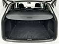 Audi Q5 Quattro+Matrix+Pano+ACC+Keyless+V&H Kam+DAB Blanc - thumbnail 19