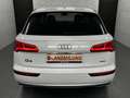 Audi Q5 Quattro+Matrix+Pano+ACC+Keyless+V&H Kam+DAB Blanc - thumbnail 6