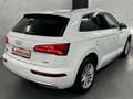Audi Q5 Quattro+Matrix+Pano+ACC+Keyless+V&H Kam+DAB Blanc - thumbnail 4