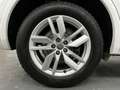 Audi Q5 Quattro+Matrix+Pano+ACC+Keyless+V&H Kam+DAB Blanc - thumbnail 31