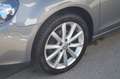 Volkswagen Golf Cabriolet Lounge BMT TSI Grau - thumbnail 3