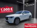 Mazda CX-60 Exclusive-Line Hybrid AWD 2.5 DSG KAMERA L Weiß - thumbnail 1