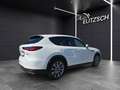 Mazda CX-60 Exclusive-Line Hybrid AWD 2.5 DSG KAMERA L Weiß - thumbnail 6