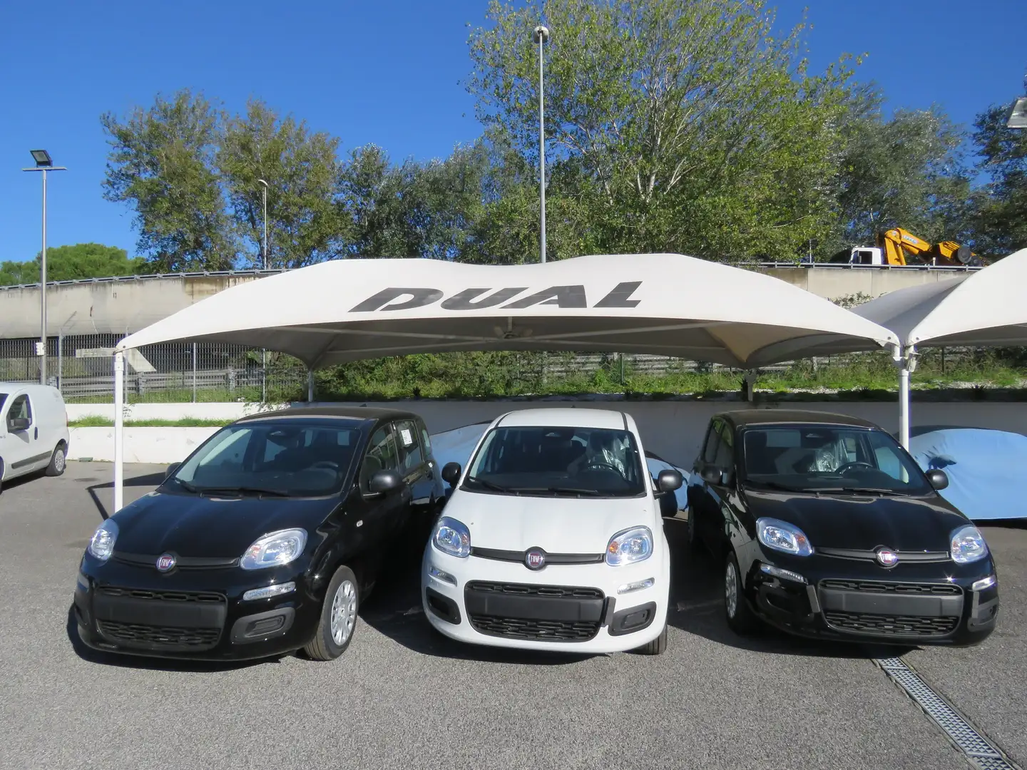 Fiat Panda Pandina III My25 1.0 hybrid KM 0! Nero - 1