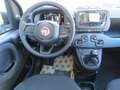 Fiat Panda Pandina III My25 1.0 hybrid KM 0! Nero - thumbnail 10