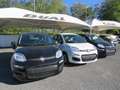 Fiat Panda Pandina III My25 1.0 hybrid KM 0! Nero - thumbnail 7