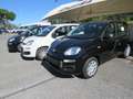 Fiat Panda Pandina III My25 1.0 hybrid KM 0! Nero - thumbnail 2