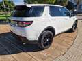 Land Rover Discovery Sport 2.0TD4 HSE 4x4 Aut. 150 Blanco - thumbnail 29