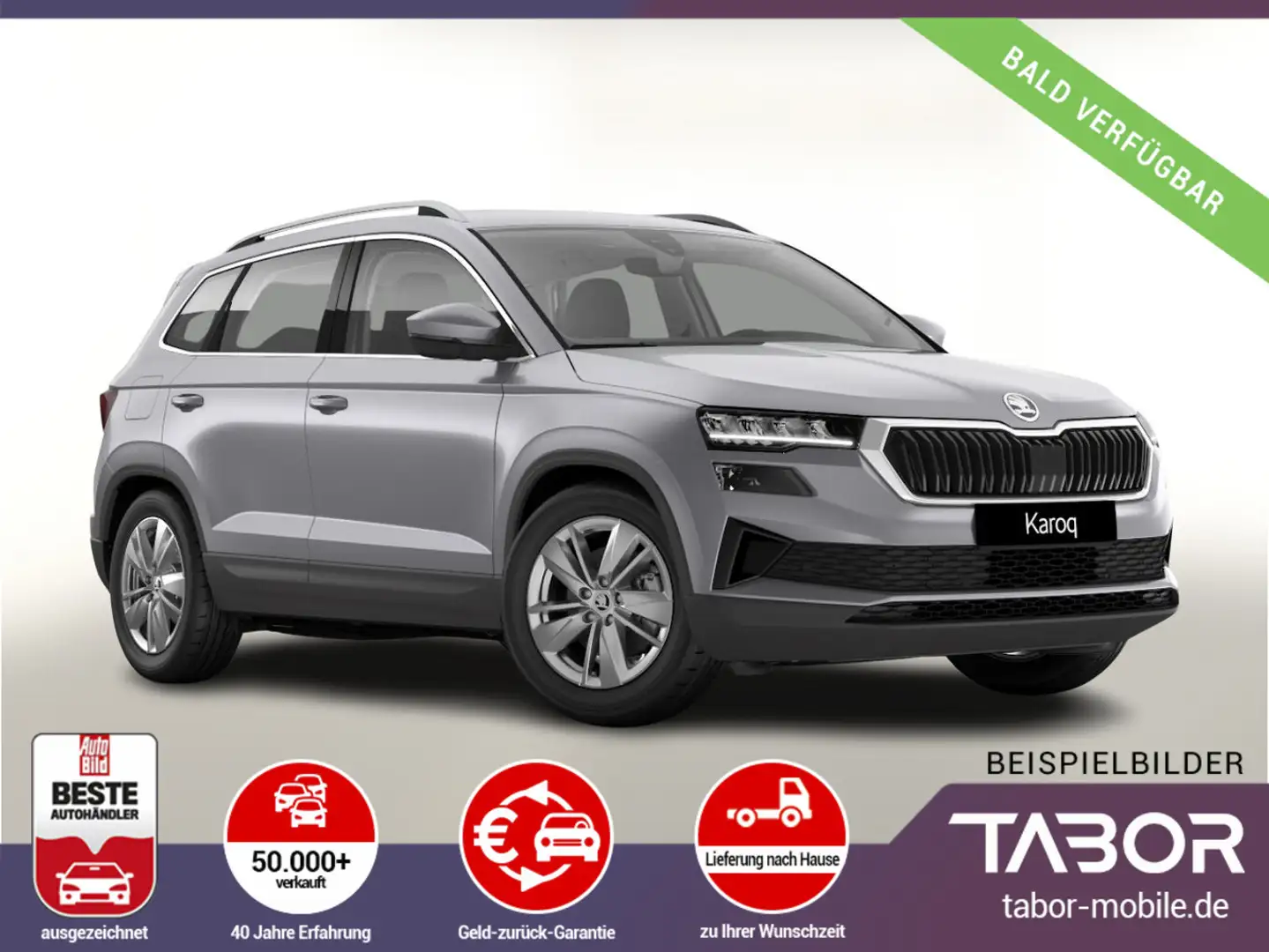 Skoda Karoq TSI DSG Selec LED Nav Kam SHZ SunS Kessy Argento - 1