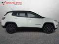 Jeep Compass 1.3 Turbo T4 240 CV PHEV AT6 4xe S Weiß - thumbnail 6