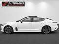 Kia Stinger 2,2 CRDI ISG GT-Line AWD Aut.|TOP AUSSTATTUNG | Weiß - thumbnail 2