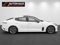 Kia Stinger 2,2 CRDI ISG GT-Line AWD Aut.|TOP AUSSTATTUNG | Weiß - thumbnail 5