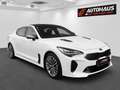Kia Stinger 2,2 CRDI ISG GT-Line AWD Aut.|TOP AUSSTATTUNG | Weiß - thumbnail 4