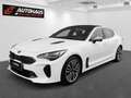 Kia Stinger 2,2 CRDI ISG GT-Line AWD Aut.|TOP AUSSTATTUNG | Weiß - thumbnail 1