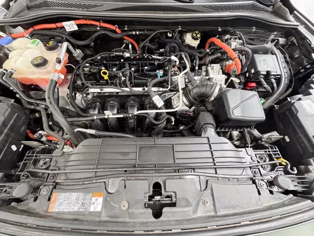 Ford Kuga view 12