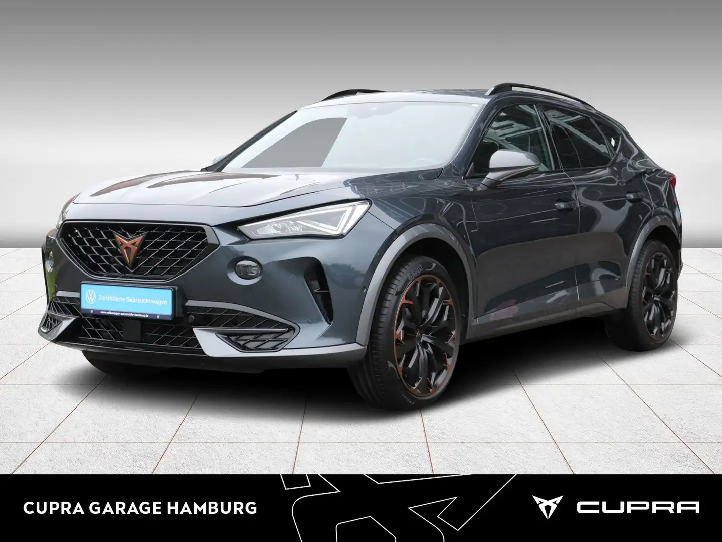 CUPRA Formentor VZ 2.0 TSI 4Drive DSG ACC Kamera Navi Grau - 1