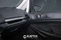 Ford EcoSport 1.0 Ecoboost 100CV Business Grigio - thumbnail 30