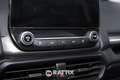 Ford EcoSport 1.0 Ecoboost 100CV Business Grigio - thumbnail 25