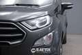 Ford EcoSport 1.0 Ecoboost 100CV Business Grigio - thumbnail 3