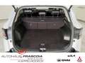 Kia Sportage Spirit 1.6T 48V 2WD Navi LED PDC SHZ Rückfahrkam. Wit - thumbnail 12