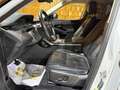 Land Rover Range Rover Evoque 2.0d i4 mhev R-Dynamic SE awd 150cv auto R20 full Wit - thumbnail 8