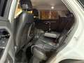 Land Rover Range Rover Evoque 2.0d i4 mhev R-Dynamic SE awd 150cv auto R20 full Wit - thumbnail 10