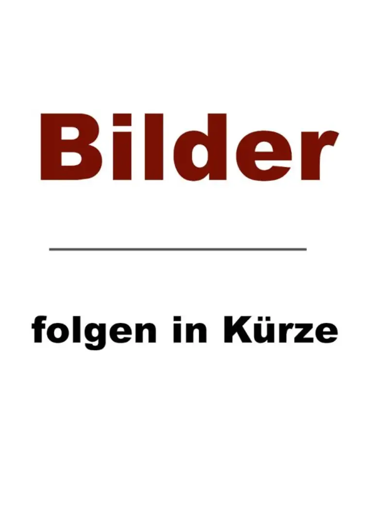 Ford Puma 1,0 EcoBoost ST-LINE BLACK-EDITION 125PS Schwarz - 2