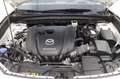 Mazda CX-30 2.0L Skyactiv-G M-Hybrid 2WD Executive Blanc - thumbnail 6