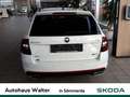 Skoda Octavia Combi 2.0 TDI DPF RS 4x4 Alb - thumbnail 5