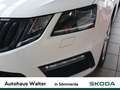Skoda Octavia Combi 2.0 TDI DPF RS 4x4 Alb - thumbnail 6