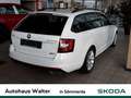 Skoda Octavia Combi 2.0 TDI DPF RS 4x4 Alb - thumbnail 4