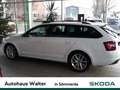 Skoda Octavia Combi 2.0 TDI DPF RS 4x4 Alb - thumbnail 3