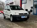 Fiat Panda 1.1 8V Active I Benzin I TÜV 2028 Weiß - thumbnail 1