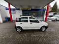 Fiat Panda 1.1 8V Active I Benzin I TÜV 2028 Weiß - thumbnail 13