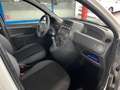 Fiat Panda 1.1 8V Active I Benzin I TÜV 2028 Weiß - thumbnail 17