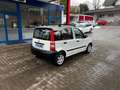 Fiat Panda 1.1 8V Active I Benzin I TÜV 2028 Weiß - thumbnail 12