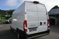 Fiat Ducato Ducato 35+ L4H3 BlueHDi 180 S&S Weiß - thumbnail 7