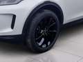 Land Rover Discovery Sport P200 AWD Aut. SE Weiß - thumbnail 10