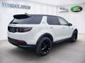 Land Rover Discovery Sport P200 AWD Aut. SE Weiß - thumbnail 5