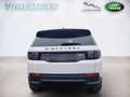 Land Rover Discovery Sport P200 AWD Aut. SE Weiß - thumbnail 6