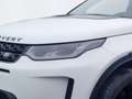 Land Rover Discovery Sport P200 AWD Aut. SE Weiß - thumbnail 9