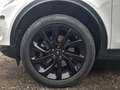 Land Rover Discovery Sport P200 AWD Aut. SE Weiß - thumbnail 11