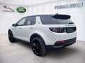 Land Rover Discovery Sport P200 AWD Aut. SE Weiß - thumbnail 7
