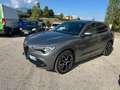 Alfa Romeo Stelvio Stelvio 2020 2.2 t Veloce Q4 210cv auto Grijs - thumbnail 20