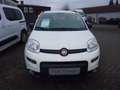 Fiat New Panda City Life Hybrid Weiß - thumbnail 3