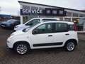 Fiat New Panda City Life Hybrid Weiß - thumbnail 19