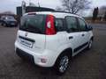 Fiat New Panda City Life Hybrid Weiß - thumbnail 6